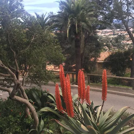 Bed & Breakfast Coeur De Village Bormes-les-Mimosas